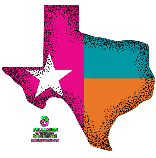 State of TEXAS Fiesta T-Shirt